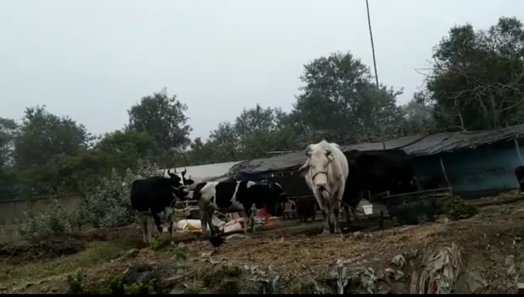 टमाटर तो टमाटर है ही, अब दूध भी दिखाएगा अपना रंग,मौसम की मार बनेगा कारण