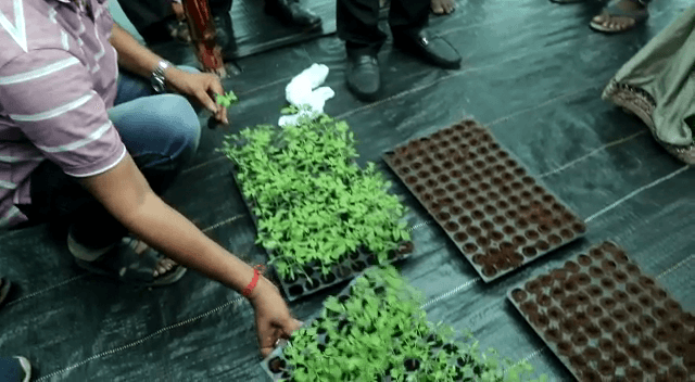 जैविक विधि से  एक लाख पौधा तैयार करने के लिए नर्सरी का शुभारंभ