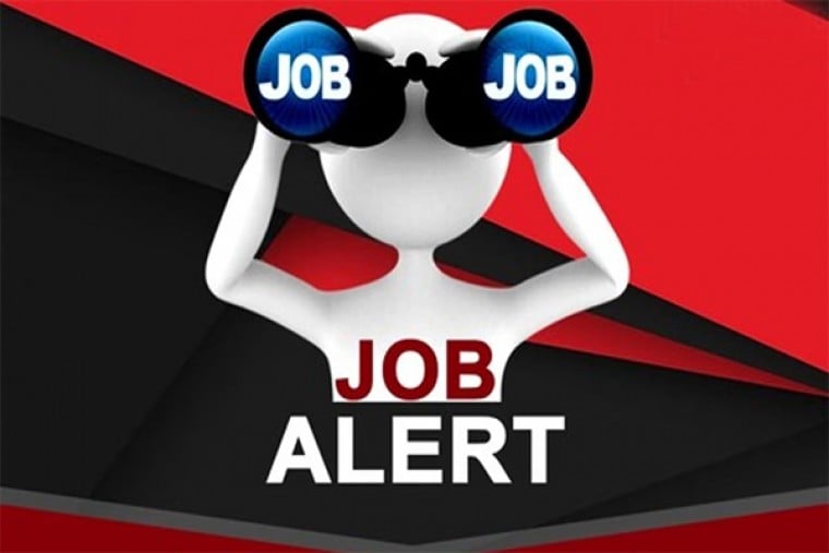 आयुर्वेद विभाग में चिकित्सा अधिकारियों की भर्ती प्रक्रिया शुरू, 82 हजार रुपए तक सैलरी