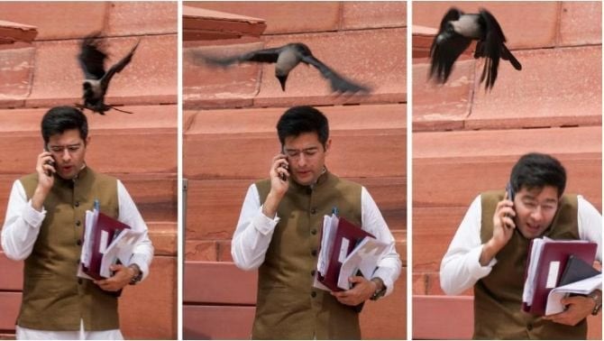 हंस चुगेगा दाना दुनका और कौवा मोती खाएगा, आप नेता राघव चड्ढा के  निशाने पर पीएम मोदी