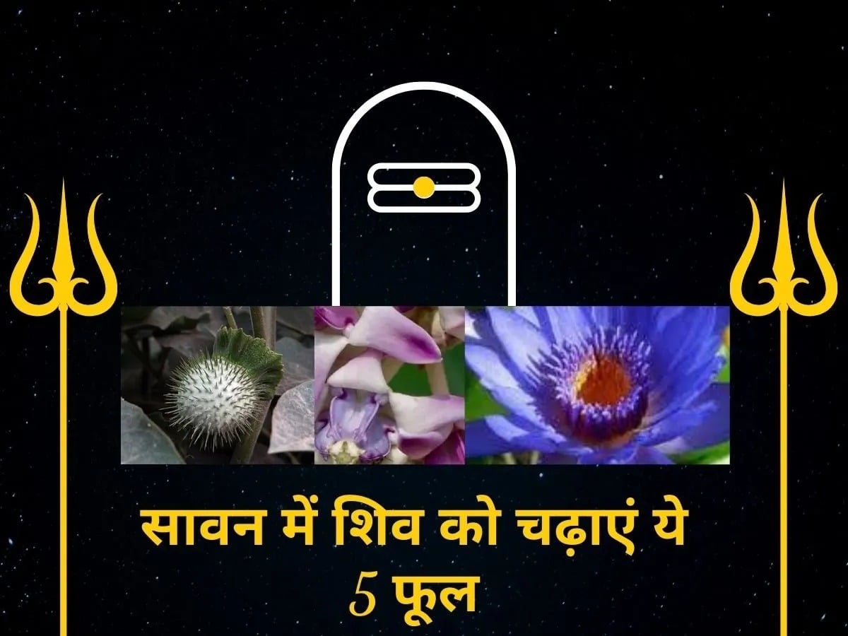 सावन में भोलेनाथ को करना हो प्रसन्न, तो चढ़ायें ये पांच फूल, मिलेगा मनोवांछित फल