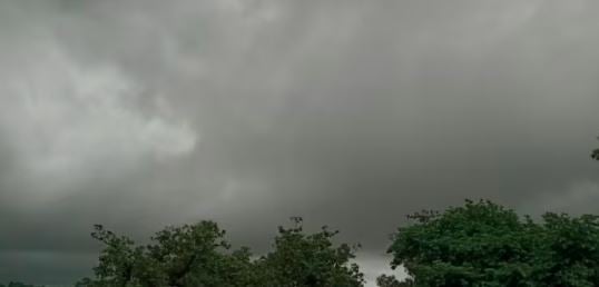 झारखंड में 46 फसीदी से कम हुई बारिश, किसानों की उम्मीदें अभी भी है जिंदा...