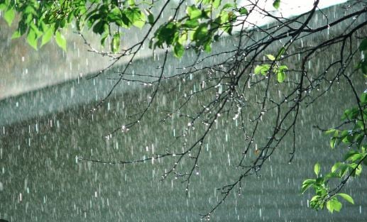 अभी तो और होगी बारिश! झारखंड में 5 से 7 अगस्त के बीच राज्य के कई हिस्सों में भारी बारिश की संभावना