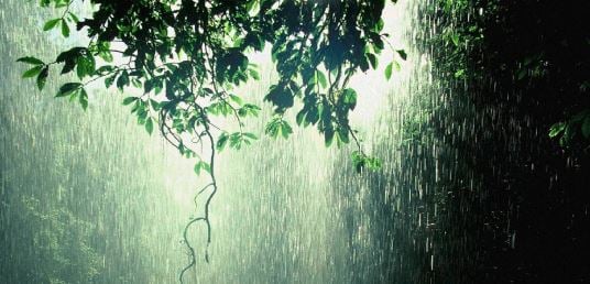 झारखंड में अगले चार दिनों तक कमजोर मानसून की संभावना, राज्य के अधिकांश इलाके में हल्के बादल छाए रहेंगे