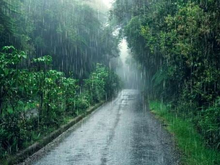 झारखंड में उत्तरी बंगाल की खाड़ी में बन रहे चक्रवात का दिखेगा असर, 15 अगस्त को जोरदार बारिश की संभावना