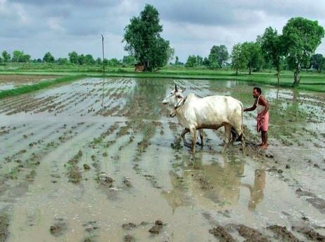 अभी बारिश से नहीं छूटने वाला पीछा, झारखंड में अभी और बरसेंगे बादल