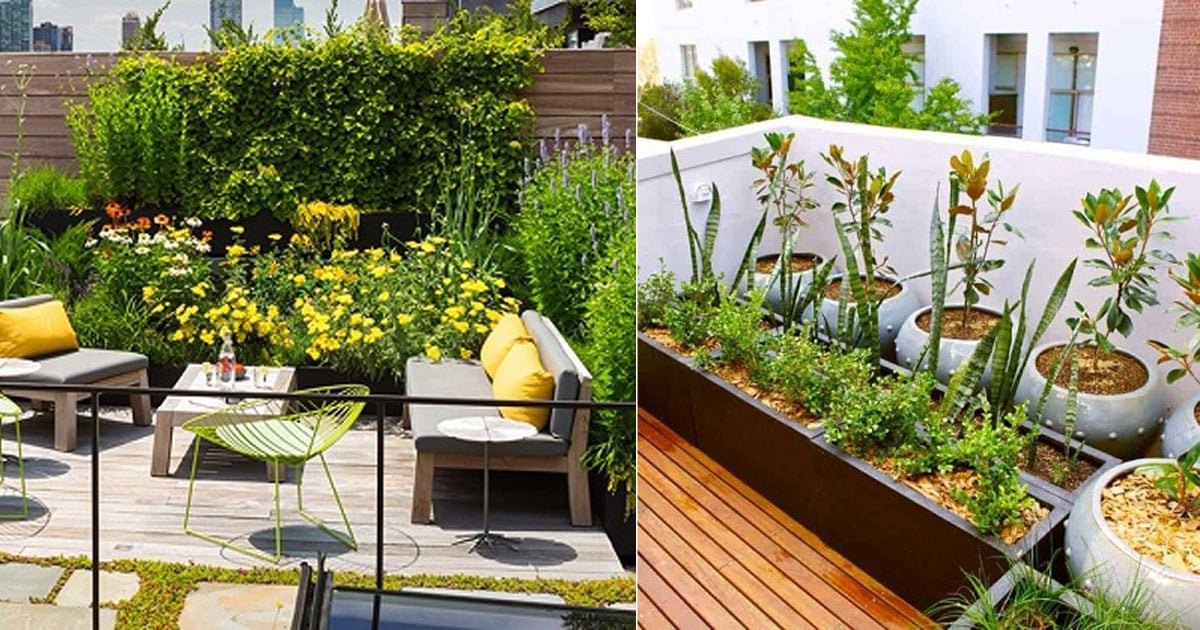 यदि आपके छत पर भी है फूल का गमला तो हो जायें सावधान!  सामने आ चुका है नगर निगम रांची का तुगलकी फरमान