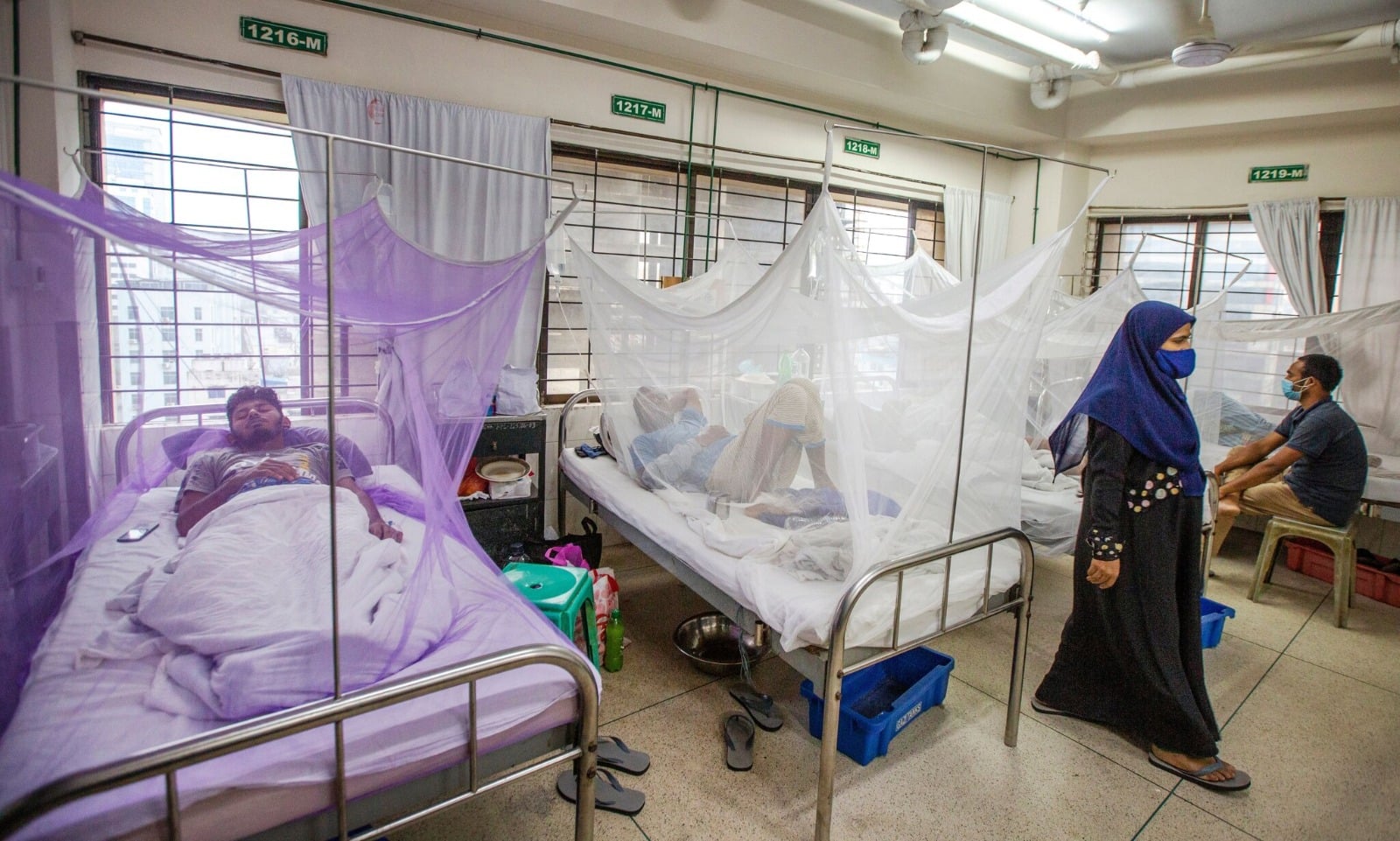 सुखाड़ के साथ डेंगू चिकनगुनिया की दोहरी मार, बिहार में 900 तो झारखंड में संभावित मरीजों का आंकड़ा पहुंचा 300 पार