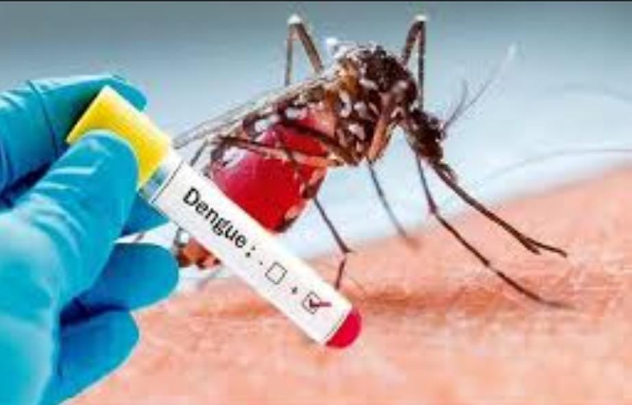 Dengue update: जमशेदपुर में डेंगू ने ली नौ महीने की गर्भवती महिला की जान, शहर में 278 एक्टिव केस, जानें कैसे रहना है सावधान