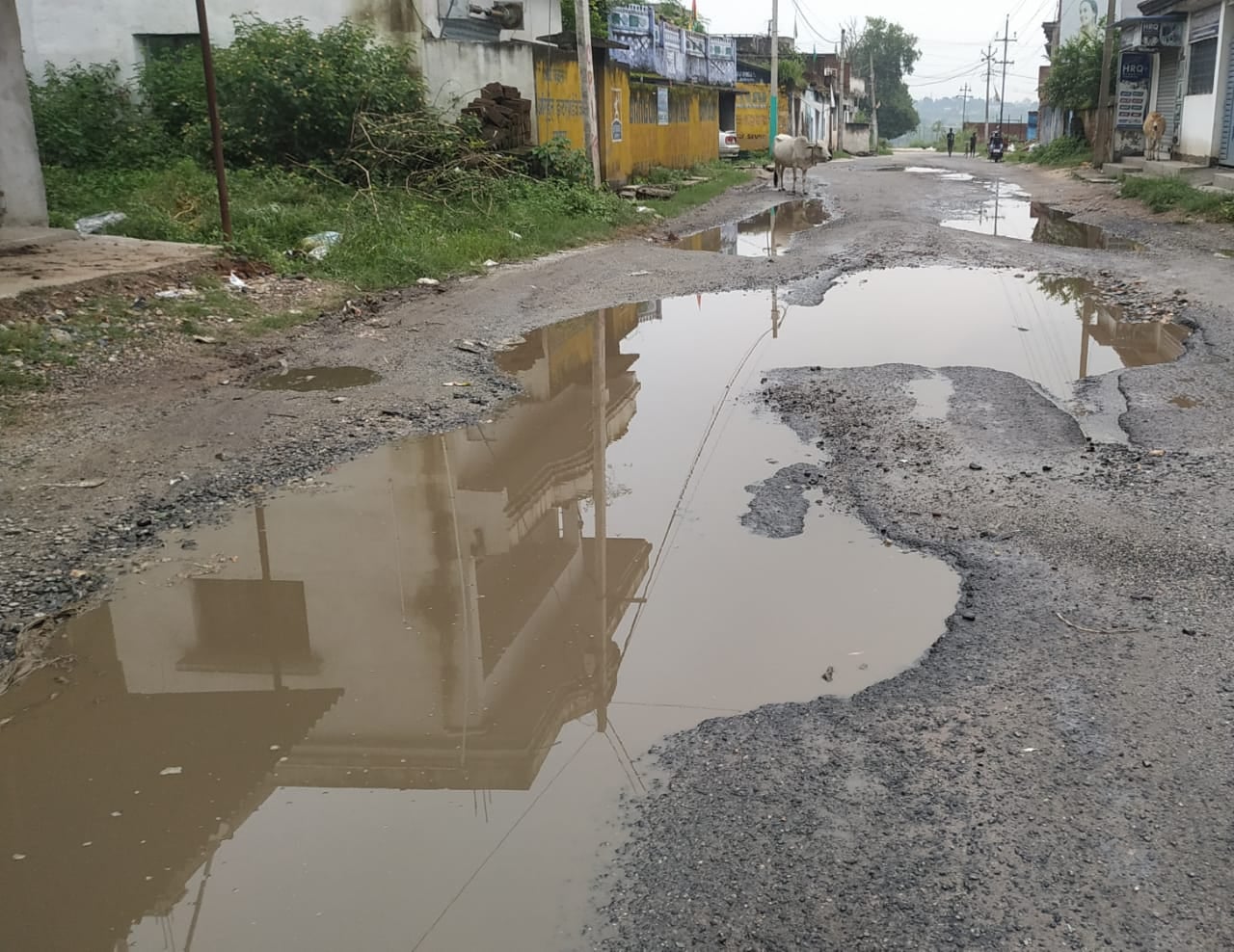 सड़क पर गड्ढे या गड्ढों में सड़क, लोग हो रहे दुर्घटना का शिकार