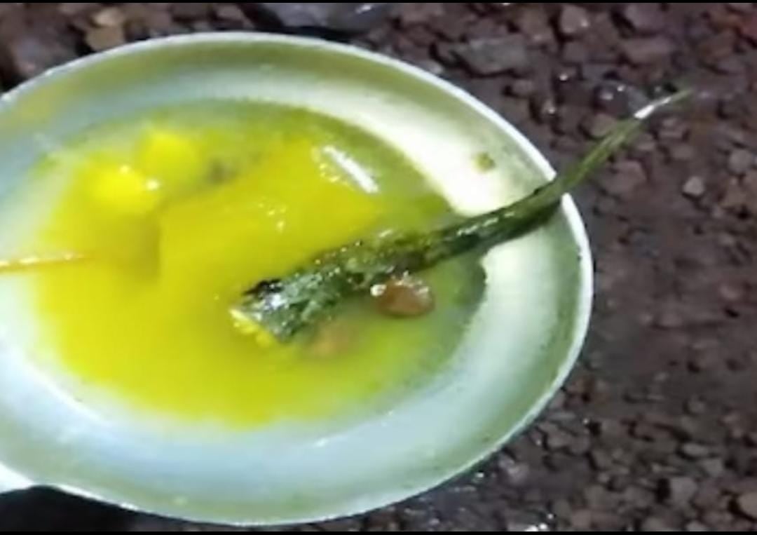 छिपकली गिरे भोजन खाने से बड़ी संख्या में बच्चे बीमार, जानिए कहां का है मामला