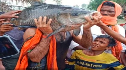 जाल में फंसी इतनी विशाल मछली की सबकी आंखे फटी रह गई, देखने वालों की लग गई भीड़, जानिए फिर क्या हुआ