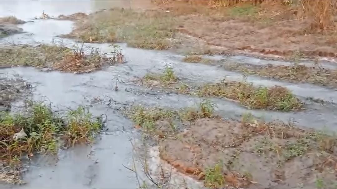 सरयू राय ने दामोदर बचाओ आंदोलन किया तेज, बोकारो थर्मल प्रबंधन पर लगाया यह गंभीर आरोप