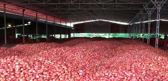 सेवा से भी महंगा बिकने की तैयारी में प्याज, झारखंड में भी लोगों के आंखों में ला रहा आंसू