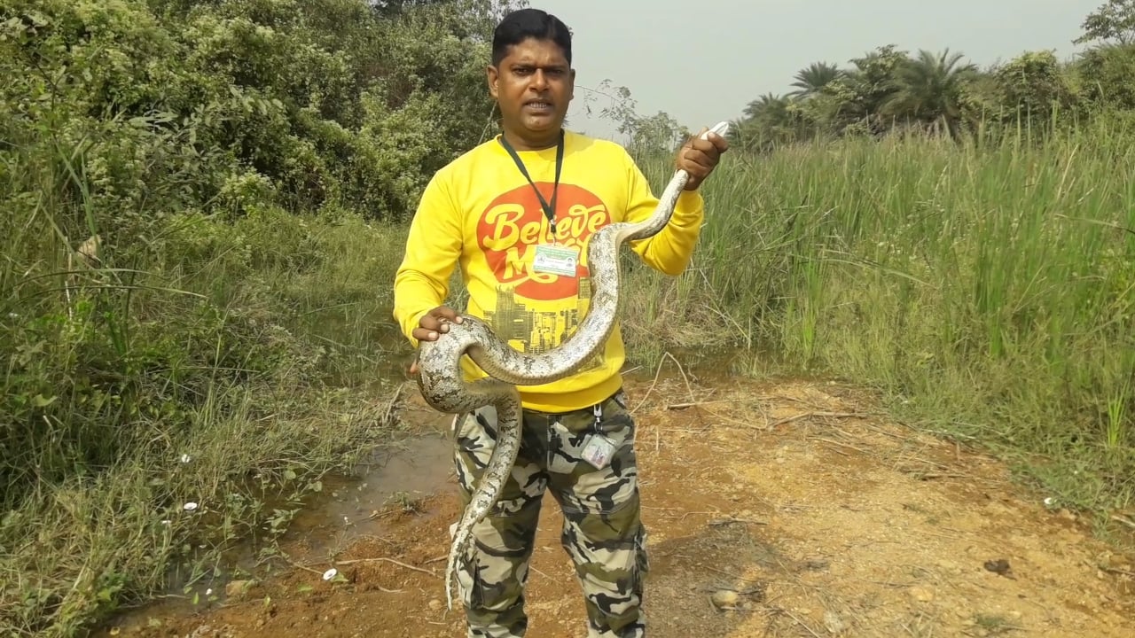 सिर्फ इंसानों को सांपों से नहीं, सांपों को भी इंसान से बचाते हैं छोटू