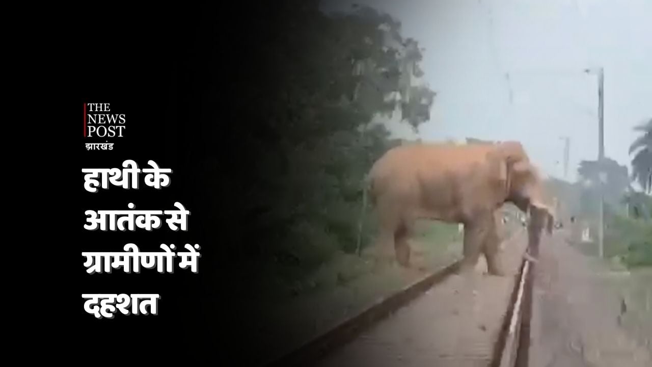 हाथी के आतंक से ग्रामीणों में दहशत, लोगों को सता रहता है जान का खतरा
