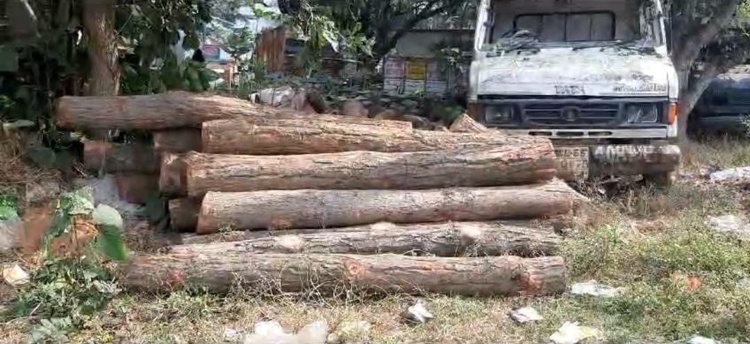 दुमका में वन विभाग ने सखुआ की लकड़ी का 25 बोटा किया जब्त, कार्रवाई के बाद भी धड़ल्ले से हो रही वनों की कटाई
