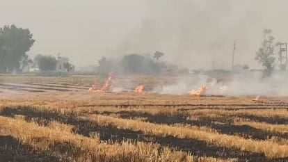 पंजाब में पराली चलाने का मामला तेजी से बढ़ा,कार्रवाई के डर से किसान ने क्या किया, जानिए