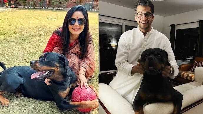 बाबूलाल का दावा टीएमसी सांसद महुआ मोइत्रा ने झारखंडियों बताया कुत्ता! सीएम हेमंत से चुप्पी तोड़ विरोध दर्ज करवाने की मांग