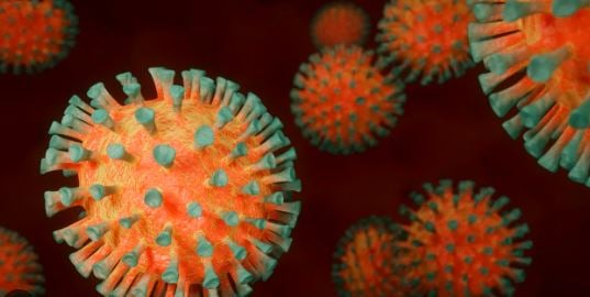 कोरोना के बाद चाइनीज निमोनिया का सता रहा डर , झारखंड में अलर्ट जारी