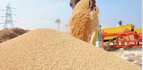 बाप रे बाप ! 3 करोड़ से अधिक के धान की हेराफेरी, कई लोगों पर हुई FIR, जाने पूरा मामला