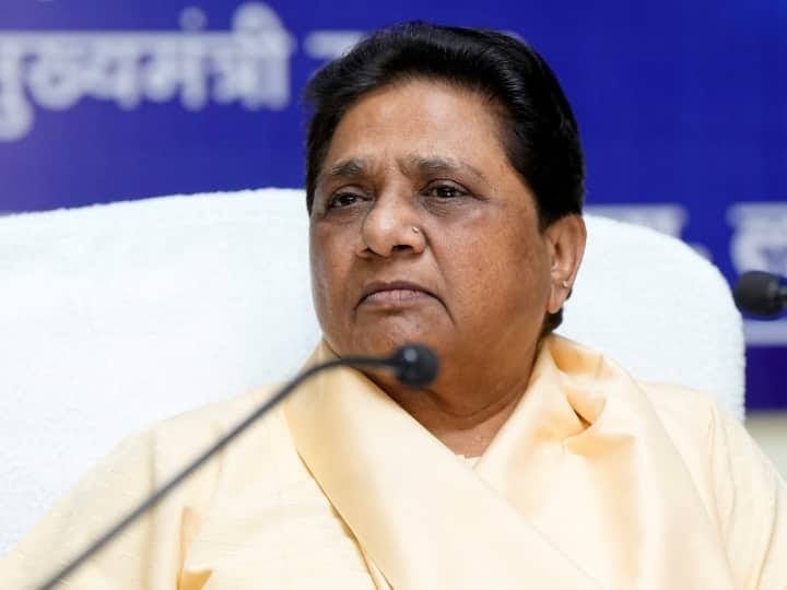 बहन मायावती ने भतीजे को बनाया अपना उत्तराधिकारी,लखनऊ की बैठक में जानिए क्या कहा