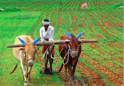 हेमंत सोरेन सरकार ने किसानों को दिया बड़ा तोहफा, 22 अन्नदाताओं का हो गया है चयन, जानिए आखिर क्या है ये सौगात