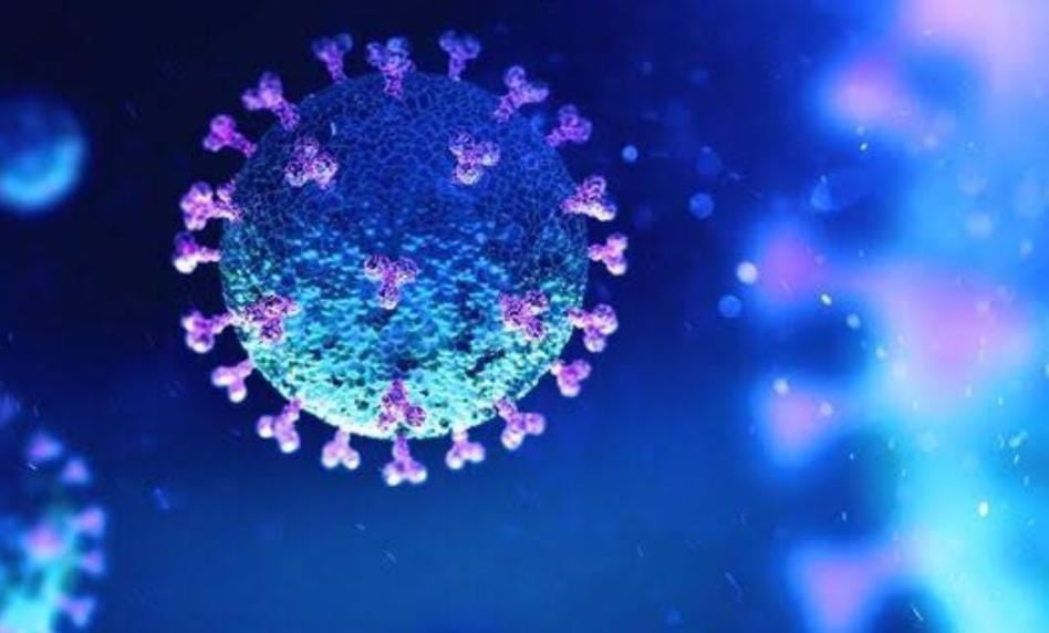 बिहार में भी कोरोना के नये वेरिएंट JN.1 को लेकर अलर्ट!  स्वास्थ्य विभाग ने जारी की एडवाइजरी, पढ़ें क्या दिया गया है आदेश