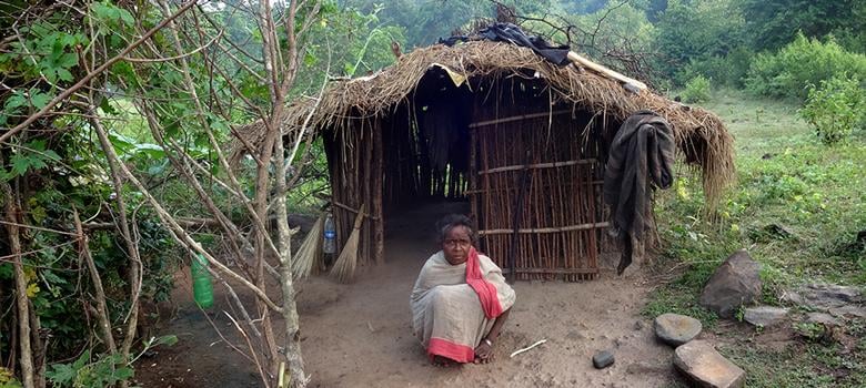 TNP special : आदिवासी समाज पर मंडराता खतरा! परंपरा छूट रही है, उम्र टूट रही है ये है पहाड़िया जनजाति का हाल