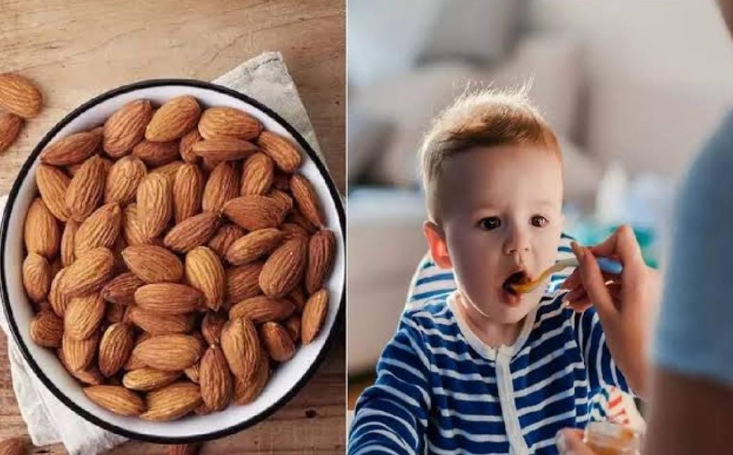 Health tips:बच्चों को रोजाना दें ये 6 ड्राई फ्रूट्स, आचार्य चाणक्य  से भी तेज चलेगा दिमाग! पढ़ें सभी ड्राई फ्रूट्स के नाम और फायदे