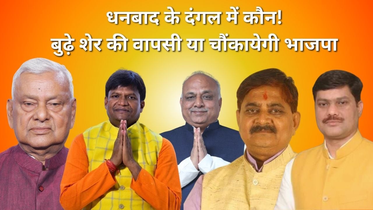 धनबाद में पी.एन सिंह का कौन हो सकता है विकल्प या फिर इसी बूढ़े शेर पर लगेगा दाव! क्या कहते है जानकार