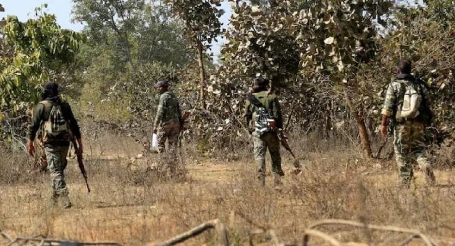 Big Breaking : हजारीबाग में टीपीसी नक्सलियों और सुरक्षाबलों के बीच मुठभेड़, इलाके में सघन छापमारी शुरू