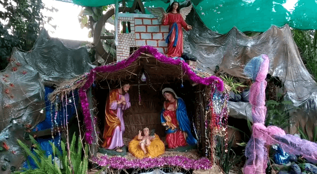 क्रिसमस कल : घर-घर गूंज रहे केरोल, सज रही चरनी