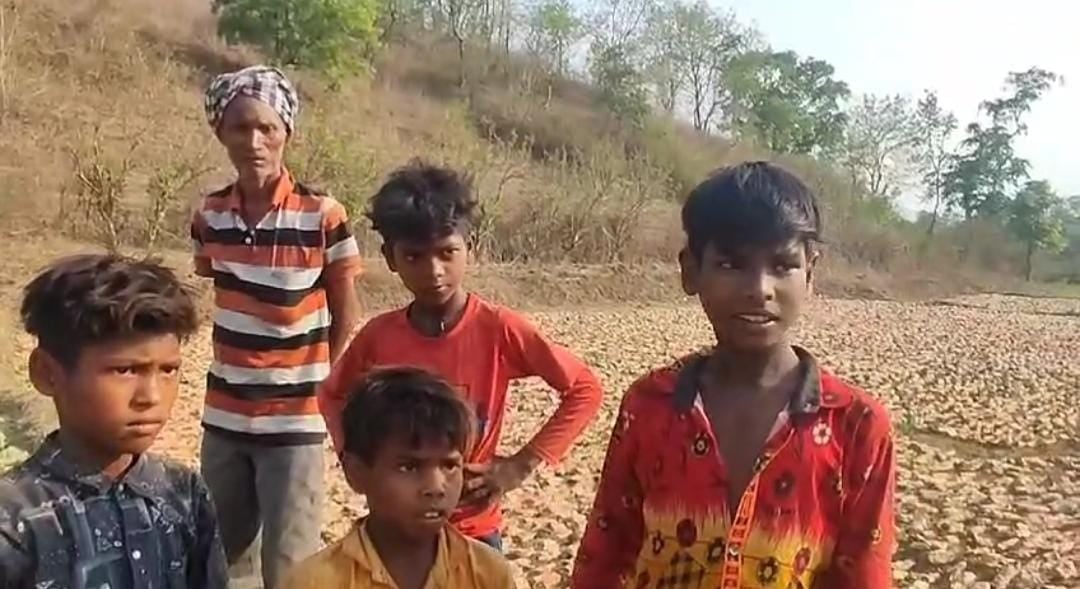 गढ़वा:तपती धूप में खाली पैर बच्चों से करवाई जा रही है बाल मजदूरी, महज 100 रुपयों के लिए दिन भर तोड़ रहे बीडी  पत्ता