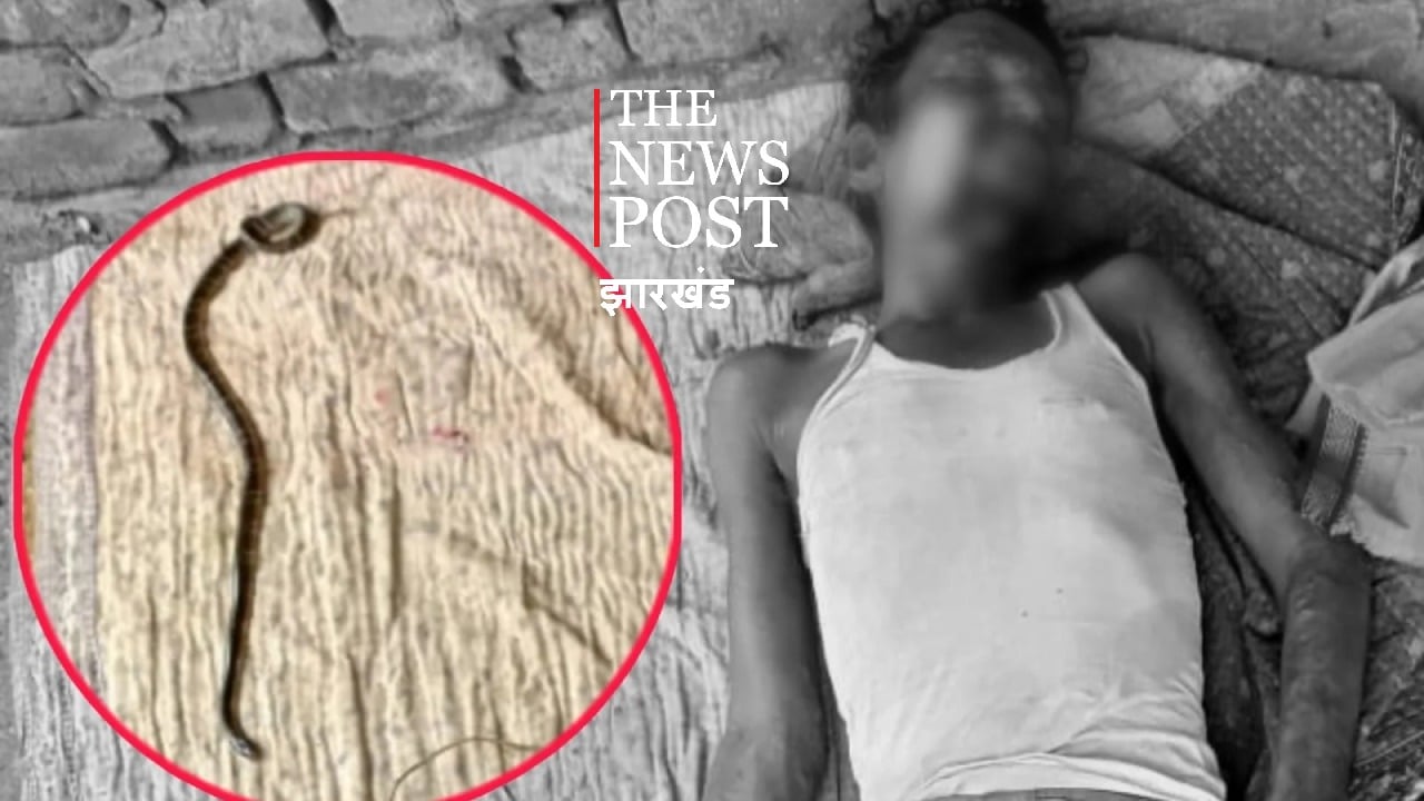 अजीबो-गरीब मामला: सांप काटने के बाद सांप और युवक दोनों की मौत, घटना को लेकर डॉक्टर और सर्पमित्र ने दिए अपने-अपने तर्क