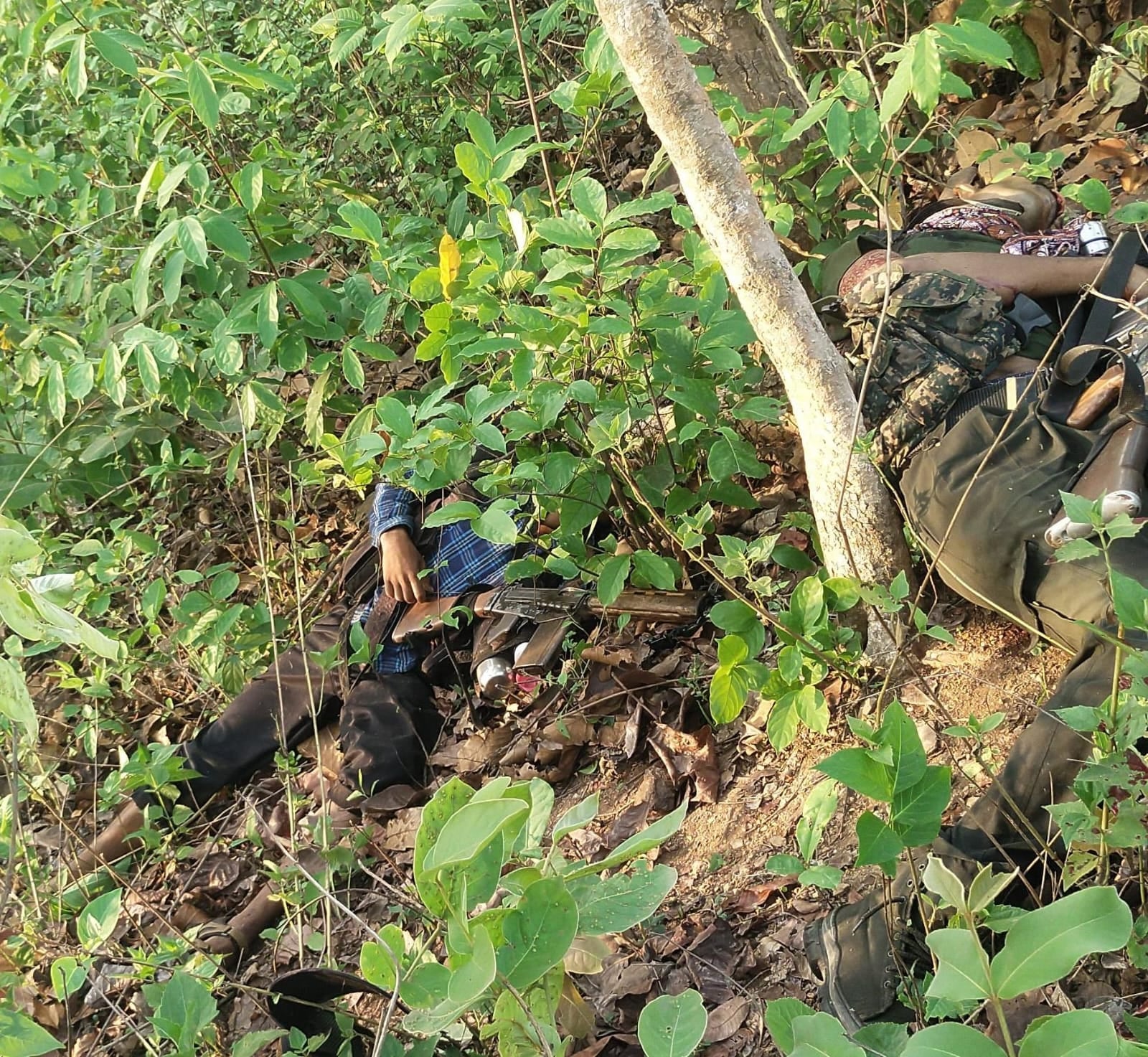 Big Breaking : झारखंड के चाईबासा में भीषण मुठभेड़, चार ईनामी नक्सली ढेर, छापेमारी तेज