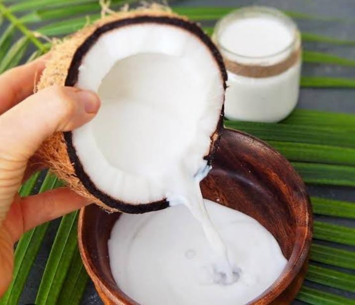 रोजाना करें कोकोनट मिल्क का सेवन, कोलेस्ट्रोल से लेकर इन गंभीर बीमारियों का खतरा होगा कम
