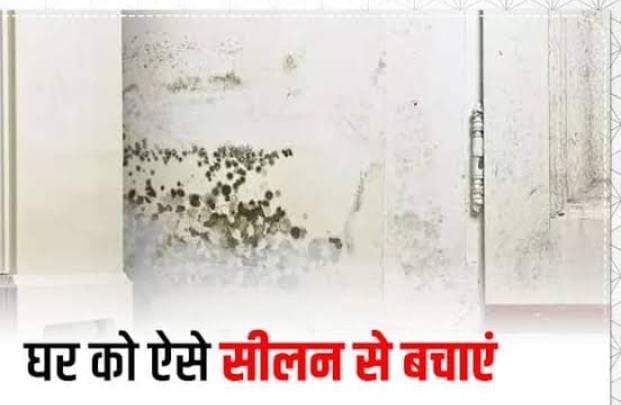 बरसात की सिलन आपके घर की बिगाड़ रही है खूबसूरती तो अपनाएं ये आसान टिप्स एंड ट्रिक्स,बरकरार रहेगा दिवारों पर पेंट