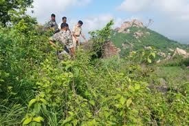 BIG BREAKING:- दुमका मे मिल एक युवती का अधजला शव, जांच मे जुटी पुलिस