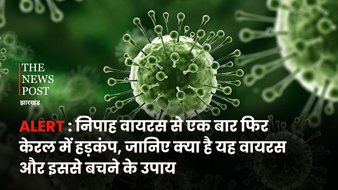 ALERT : निपाह वायरस से एक बार फिर केरल में हड़कंप, जानिए क्या है यह वायरस और इससे बचने के उपाय