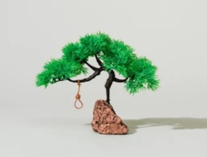 बोकारो: पत्नी के वियोग में पति ने फंदे से झूलकर दे दी अपनी जान, जानिए पूरा मामला