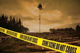 CRIME NEWS: पटना के पॉश इलाके में मिला महिला का कटा हुआ पैर, मचा हड़कंप, पुलिस खंगाल रही CCTV फुटेज
