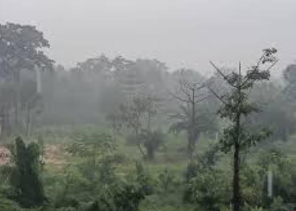Weather Alert: झारखंड के ज्यादातर हिस्सों में शुष्क, जबकि कुछ हिस्सों में गरज के साथ भारी बारिश की संभावना, इन जिलों में सतर्क रहें लोग