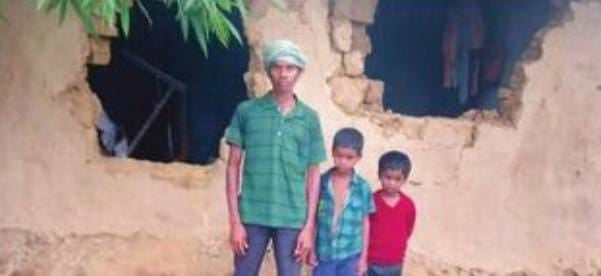 चान्हो में हाथियों का झुंड फैला रहा आतंक, फसल के साथ कई घरों को किया क्षतिग्रस्त