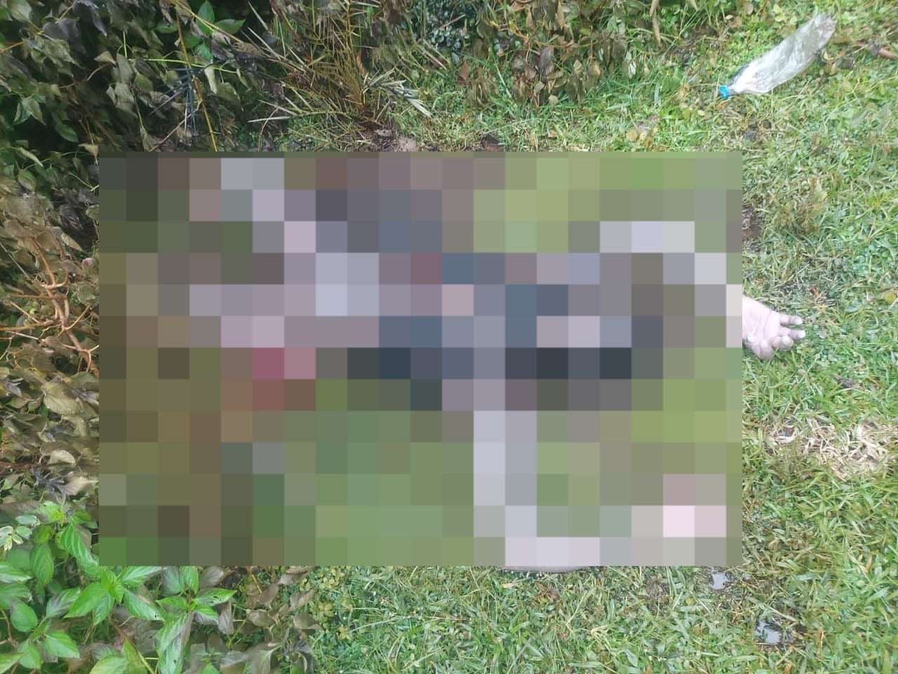 BIG BREAKING : दुमका में युवती काअधजला शव बरामद, जांच में जुटी पुलिस