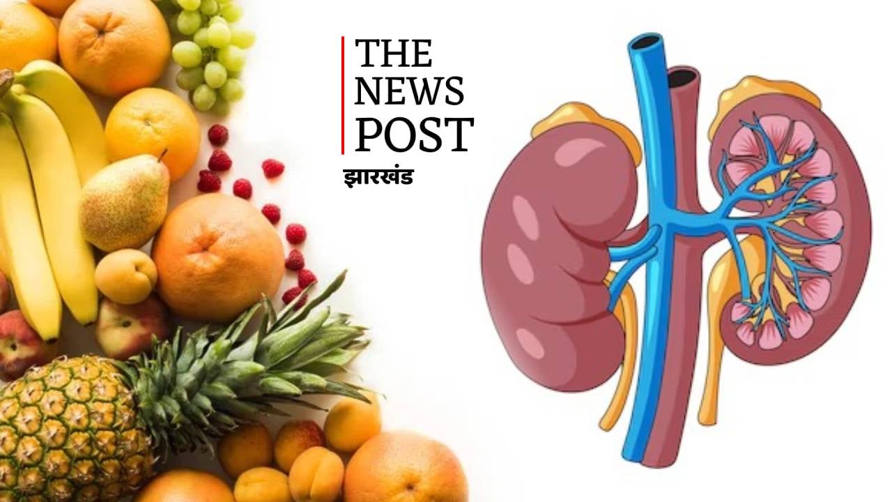 Health Tips: किडनी को रखना है हेल्दी तो इन 5 फलों से करें दोस्ती, स्टोन जैसी बीमारियों से मिलेगा छुटकारा