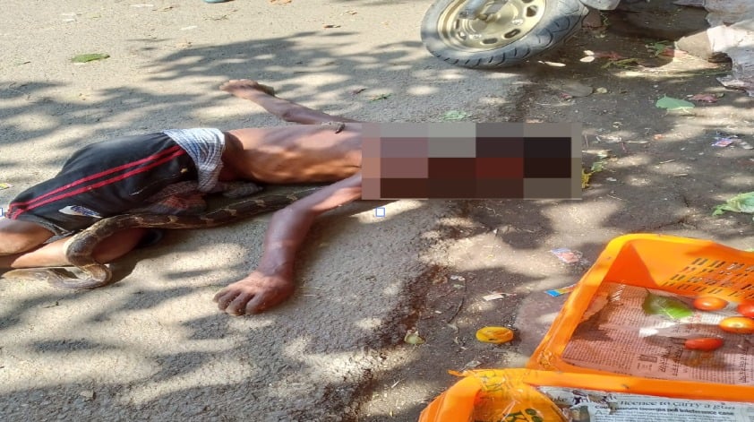 अजगर को माला की तरह गर्दन में लपेटा, सांप ने ऐसा जकड़ा कि मौके पर हो गई मौत