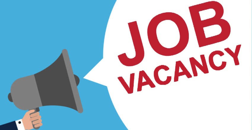 Govt. Job: राजस्थान लोक सेवा आयोग में नौकरी पाने का शानदार मौका, 733 पदों पर निकली बंपर वैकेंसी, इस डेट से करें अप्लाई