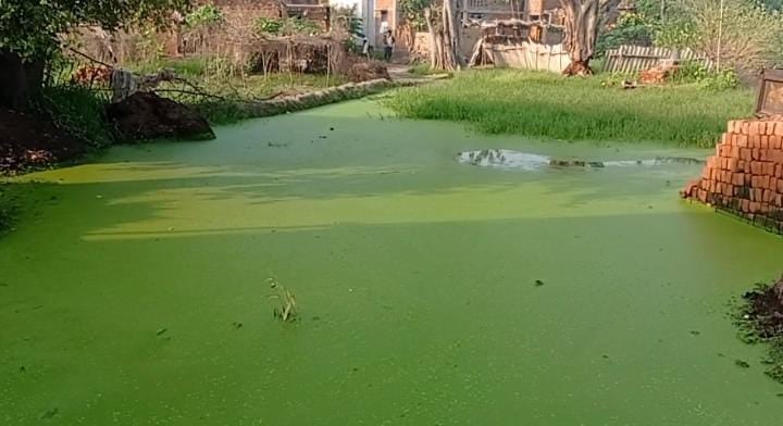 Bihar News: 25 साल से नर्क की ज़िन्दगी जी रहे हैं इस गांव के लोग, शिकायतों के बाद भी नहीं हुई पानी निकासी की व्यवस्था, गंदे नाला का तालाब बना रोड