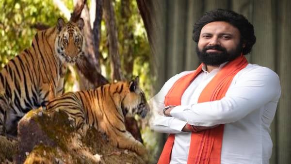 फिर लौटेगी बेतला की रौनक, सूर्या की मुहिम के बाद पलामू टाइगर में हुई बाघ बाघिन की पुष्टि